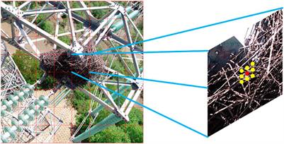 Recognition of Bird Nests on Power Transmission Lines in Aerial Images Based on Improved YOLOv4